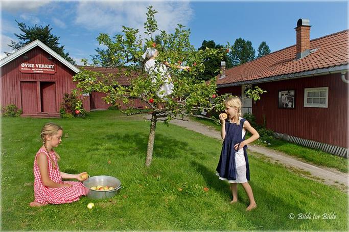 Klikk for stort bilde