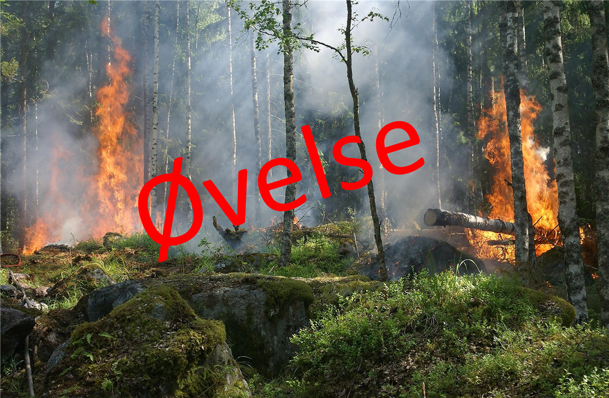 Illustrasjonsbilde - Klikk for stort bilde